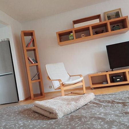 Apartman Dvorak 194 Pod Svatou Horou Příbram 外观 照片