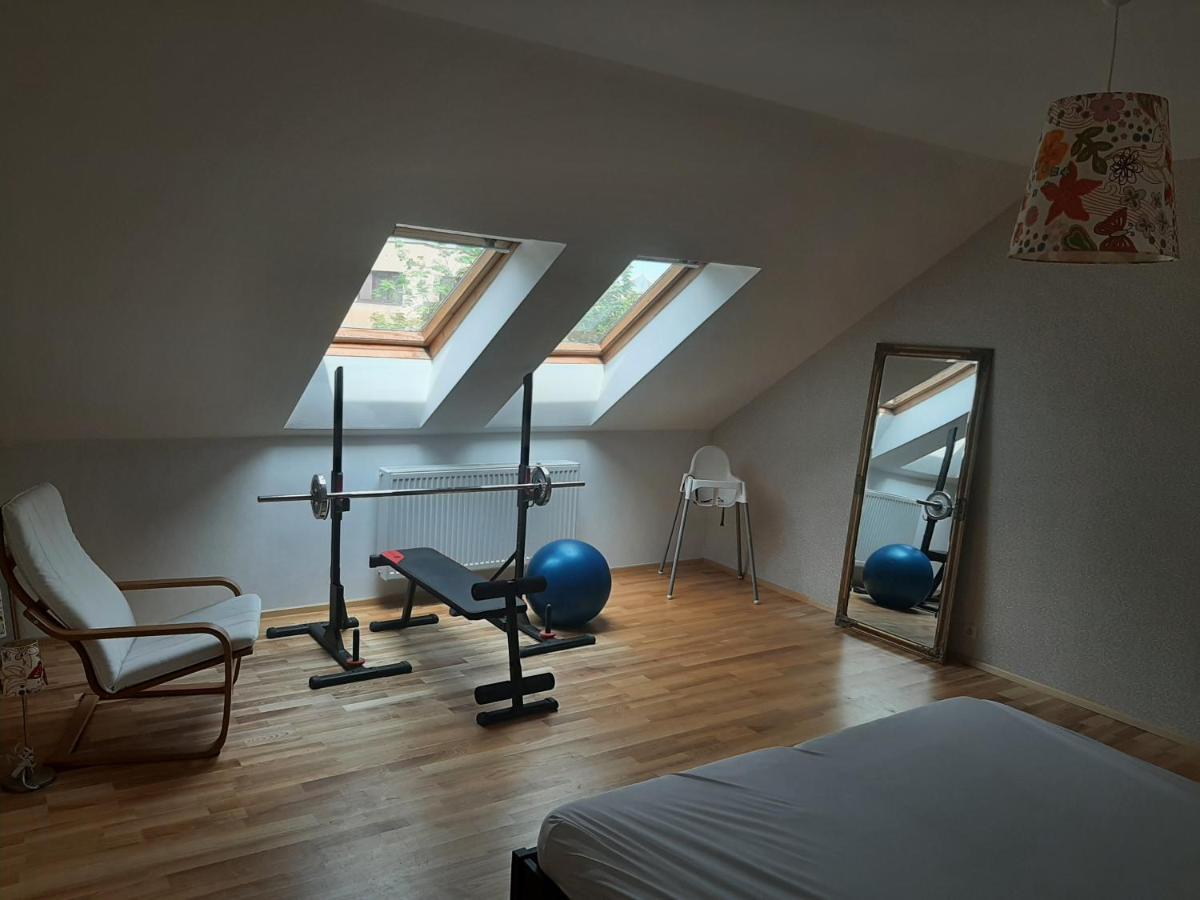 Apartman Dvorak 194 Pod Svatou Horou Příbram 外观 照片