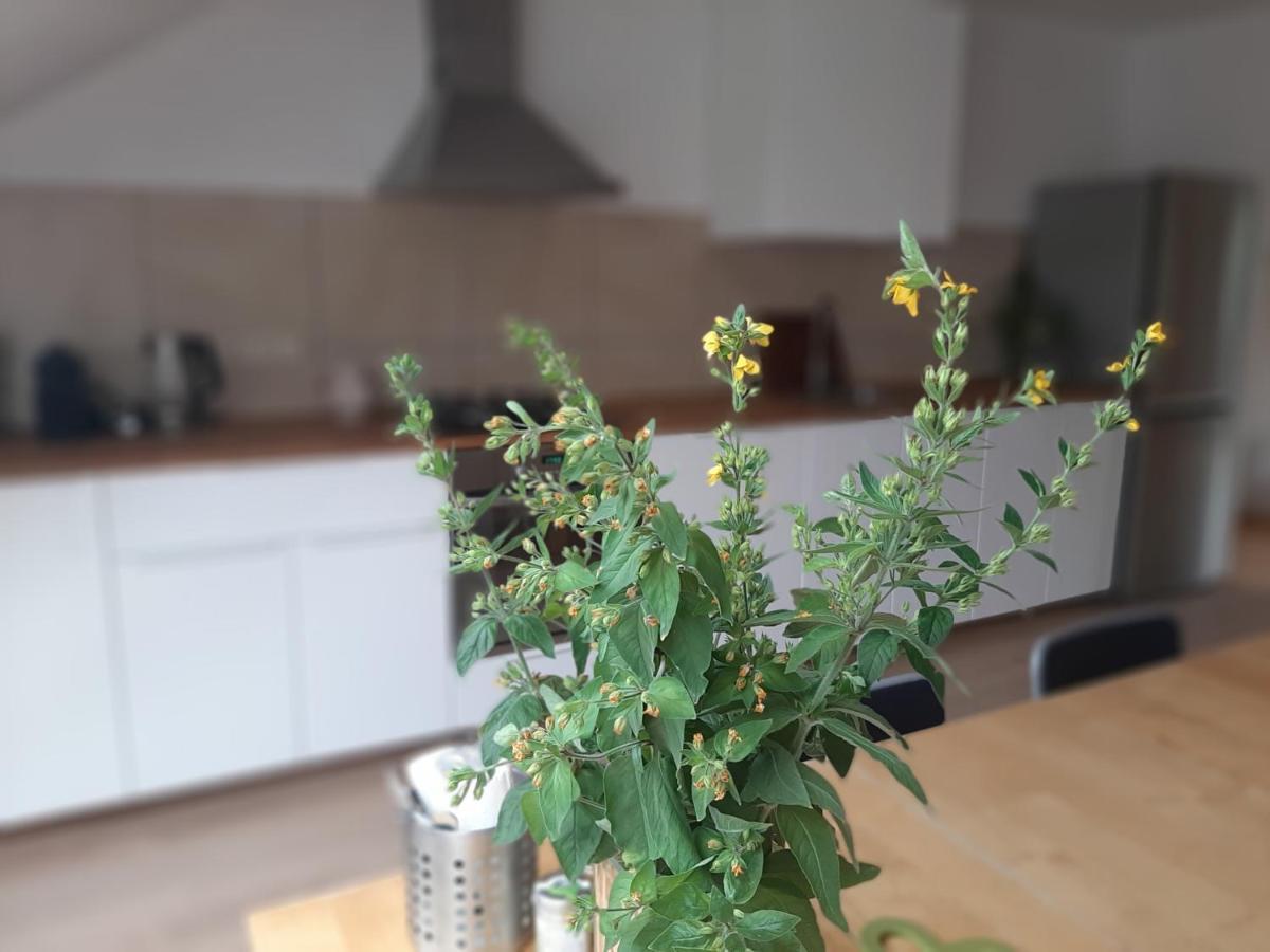 Apartman Dvorak 194 Pod Svatou Horou Příbram 外观 照片