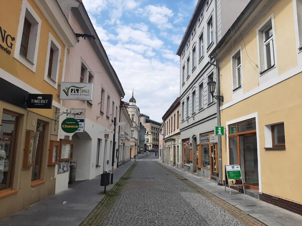 Apartman Dvorak 194 Pod Svatou Horou Příbram 外观 照片