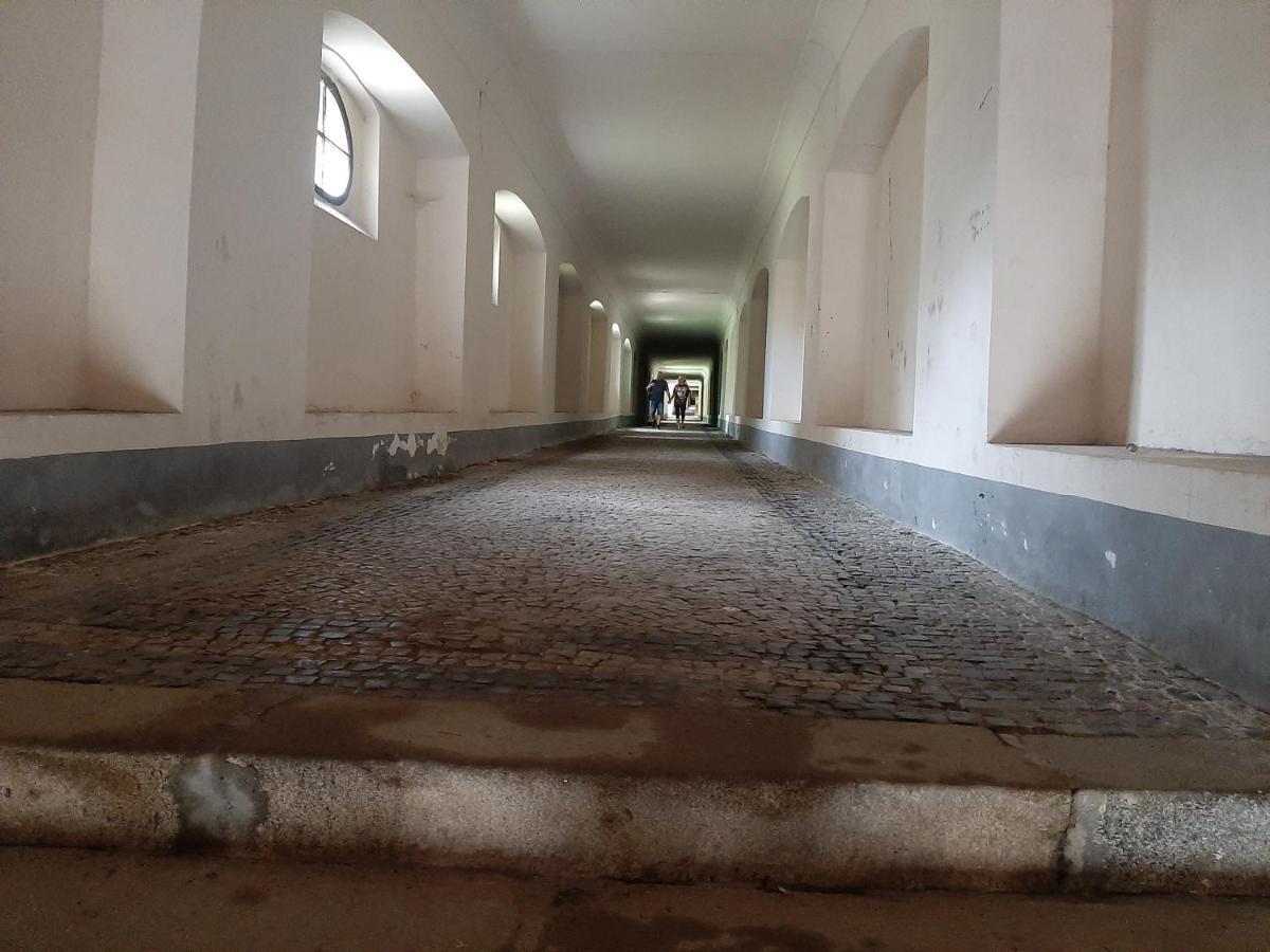 Apartman Dvorak 194 Pod Svatou Horou Příbram 外观 照片