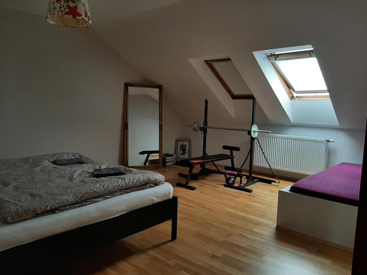 Apartman Dvorak 194 Pod Svatou Horou Příbram 外观 照片